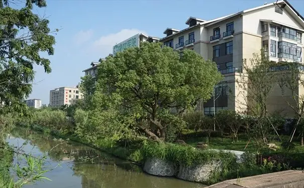 杭州西湖区三墩镇养老院 杭州西湖区三墩镇养老院