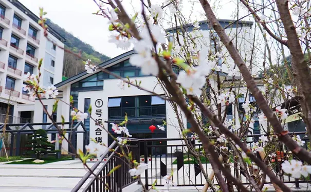 杭州绿城旗下养老机构