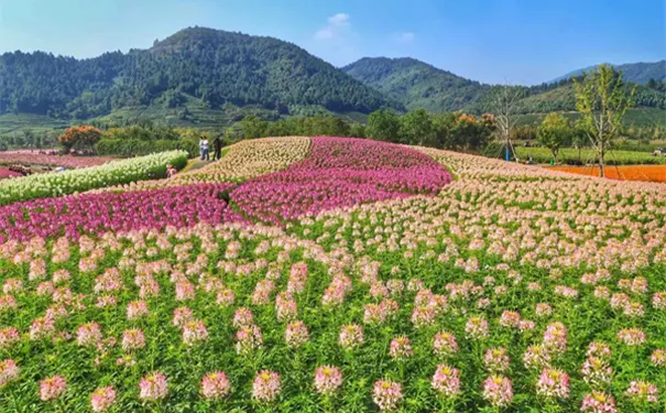 中大朗园(新湖)养老社区