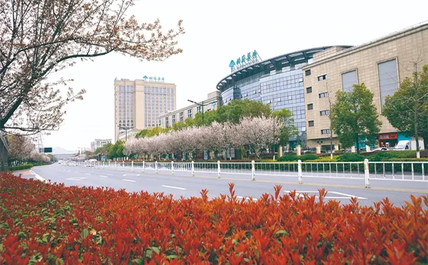 杭州树兰医院血液科 杭州树兰医院血液科