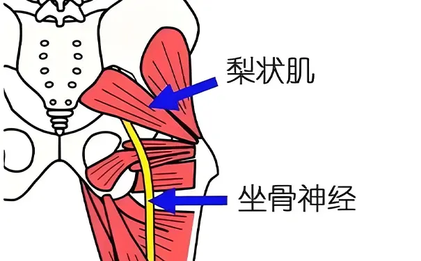 浙一医院康复科 浙一医院康复科