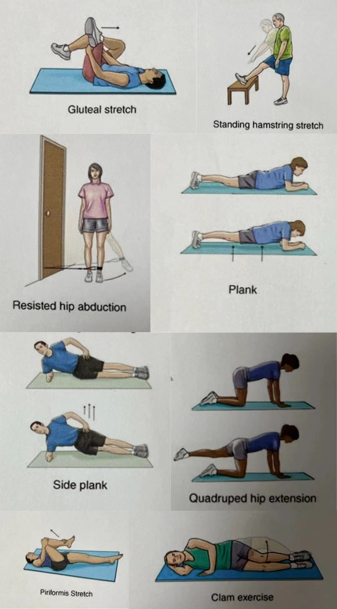 浙一医院康复科 浙一医院康复科