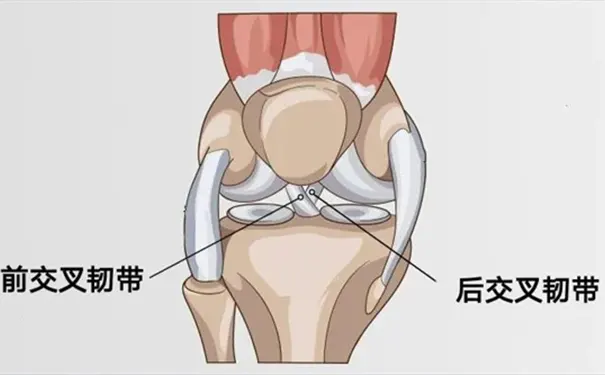 杭州市一医院下沙院区